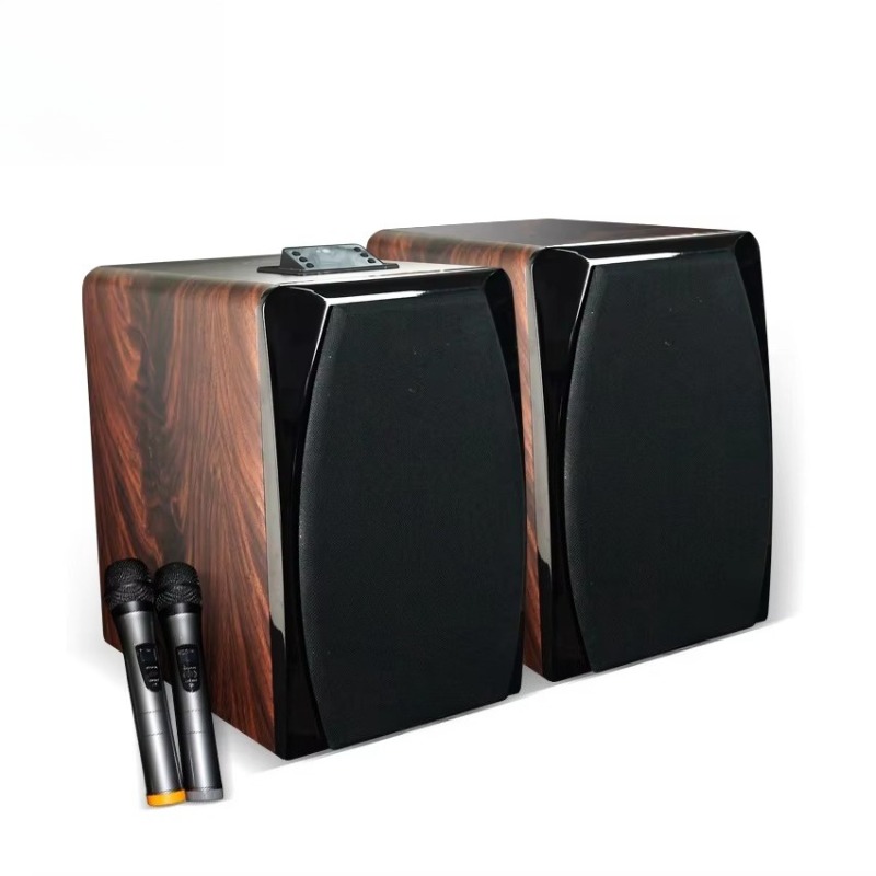 High Performance Active Karaok - Audio Music Dj recension och pris
